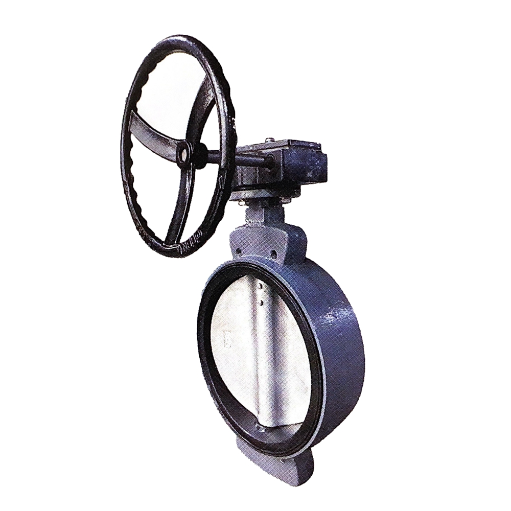 Marine semi convex ear butterfly valve