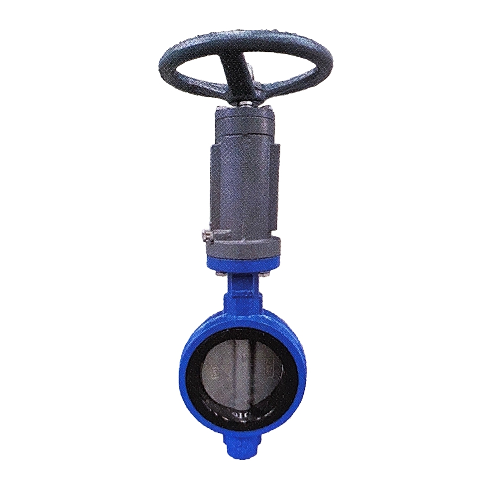 Marine butterfly valve