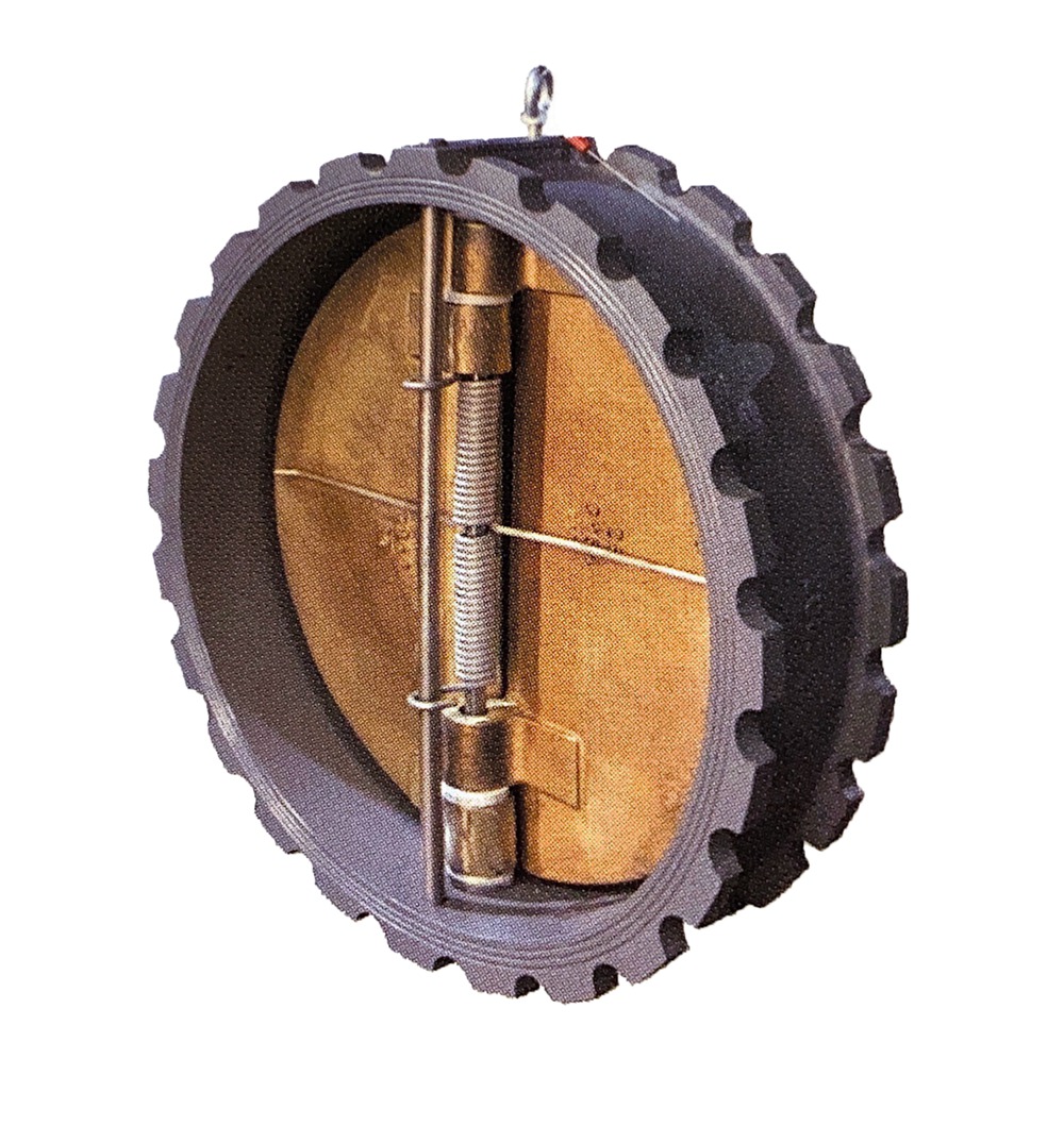 Marine butterfly check valve