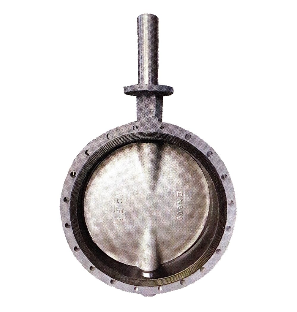 Marine flange butterfly valve