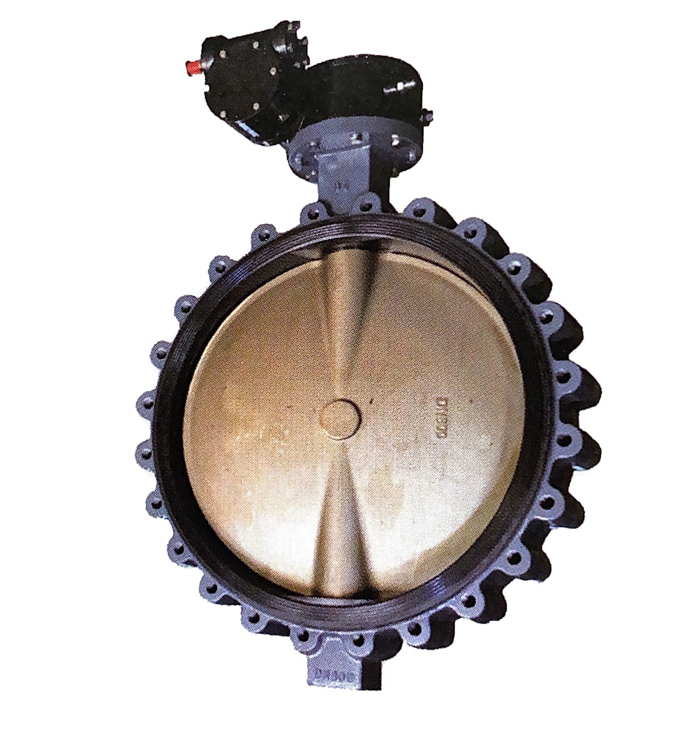 Marine Lug Butterfly Valve