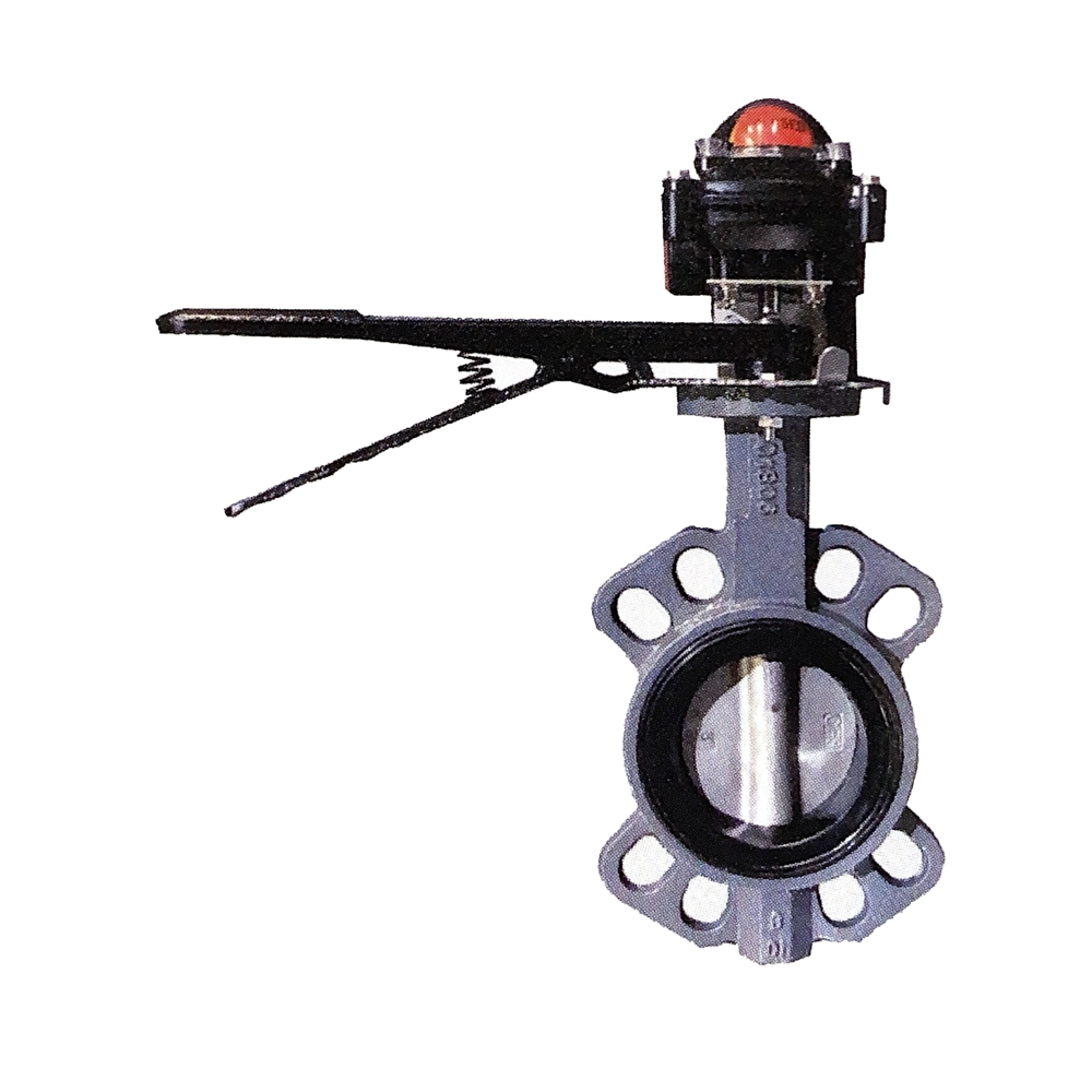 Marine butterfly valve with limit switch