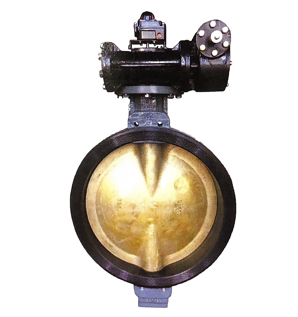 Marine butterfly valve with limit switch