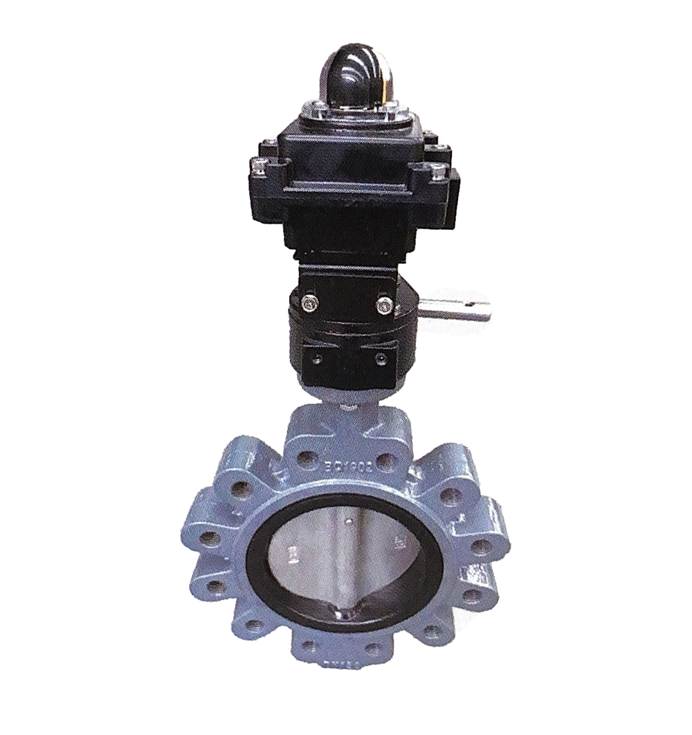 Marine Lug Butterfly Valve with Limit Switch
