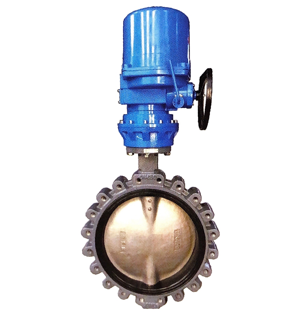 Electric marine protruding ear butterfly valve